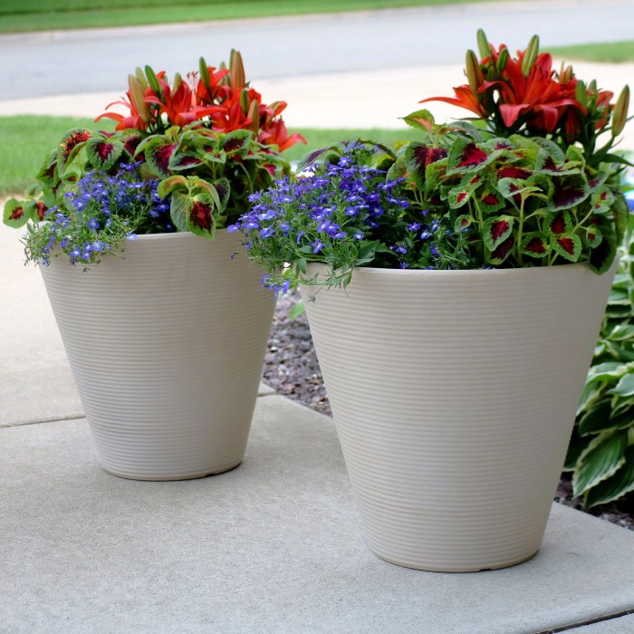 White garden plant pots