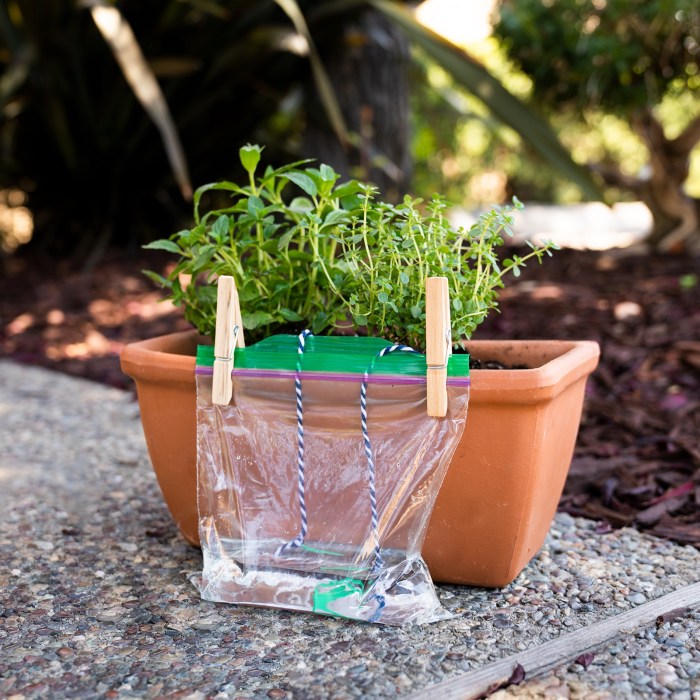 Self-watering indoor plant pots