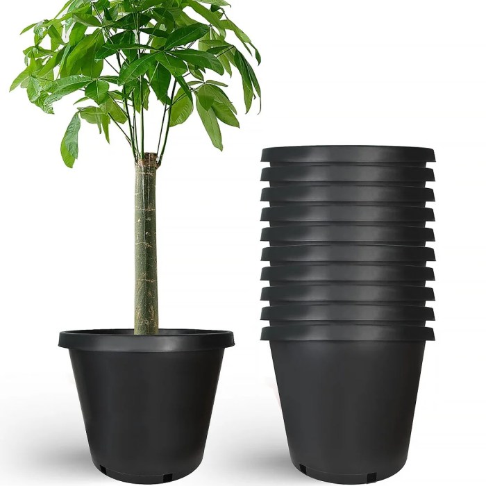 15 gallon plant pot